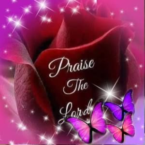 Meet your Posher, Tamaria